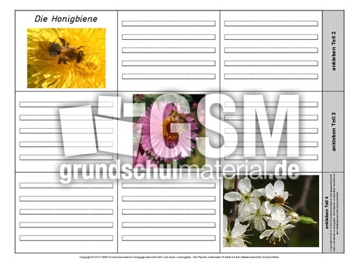 Leporello-Honigbiene-1-1-2.pdf